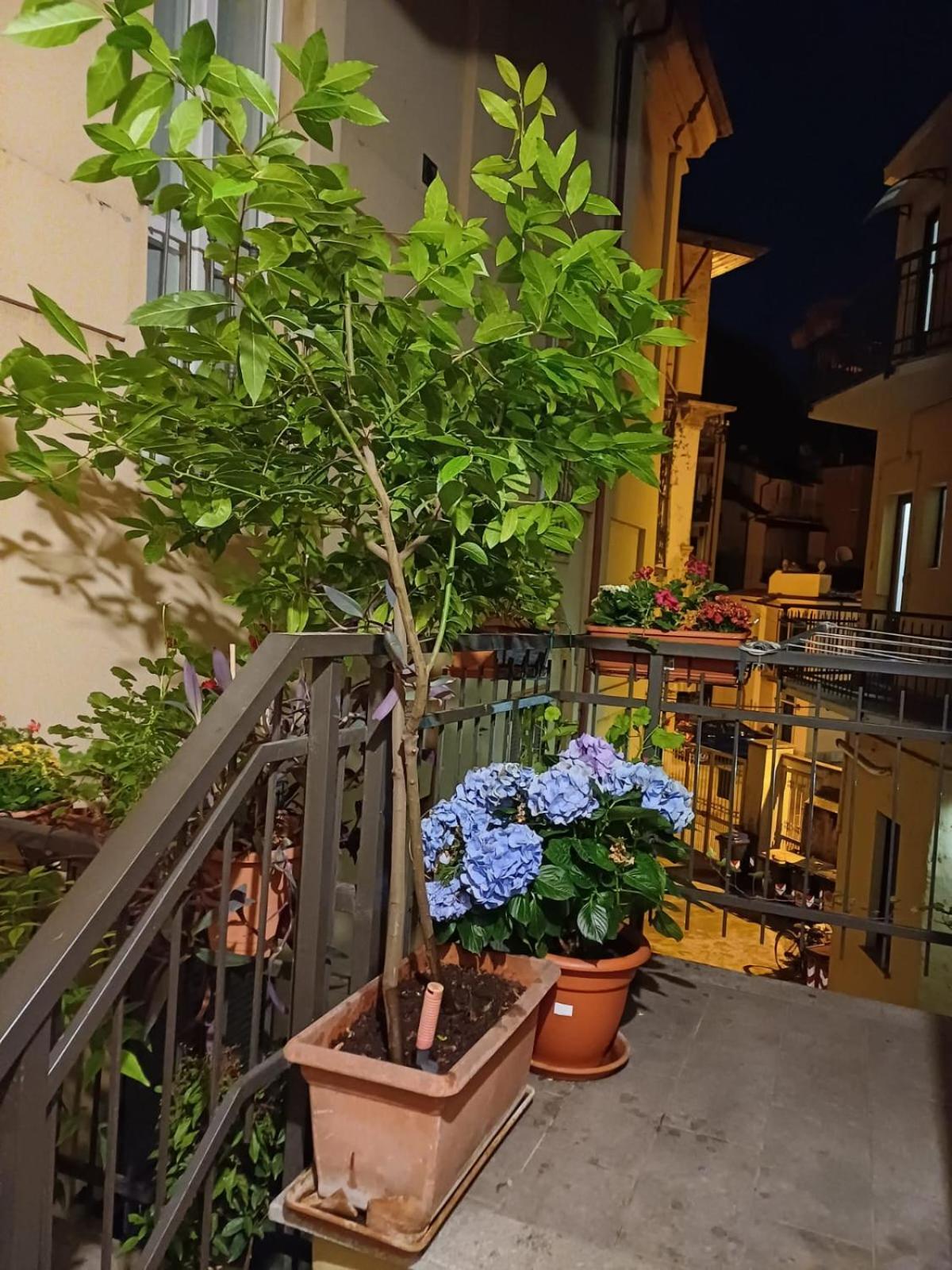 La Terrazzina, Silenzioso, Zona Piazza Gran Madre Apartamento Turim Exterior foto
